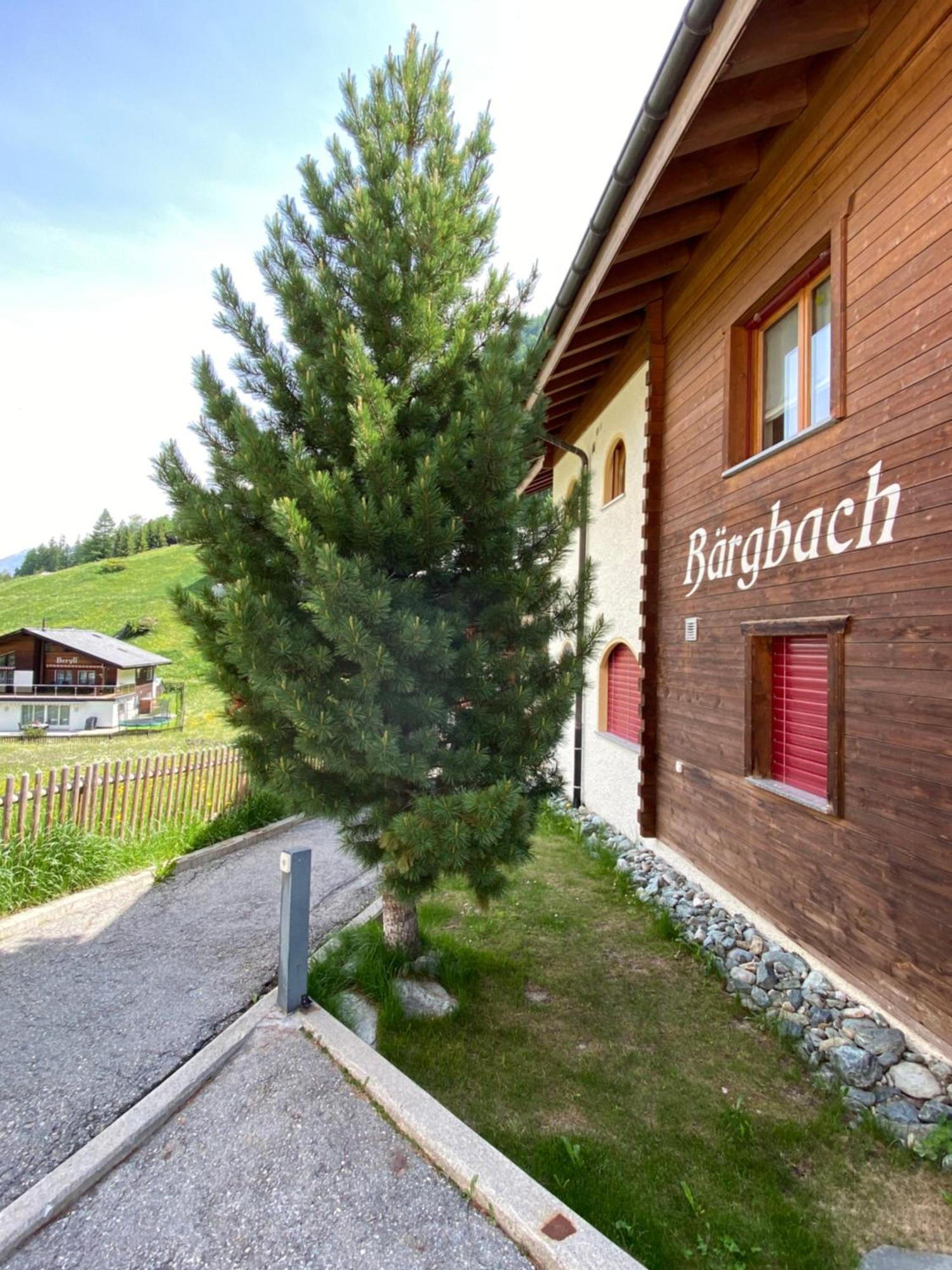 Sonnmatten Boutique Hotel & Apartments Церматт Екстер'єр фото